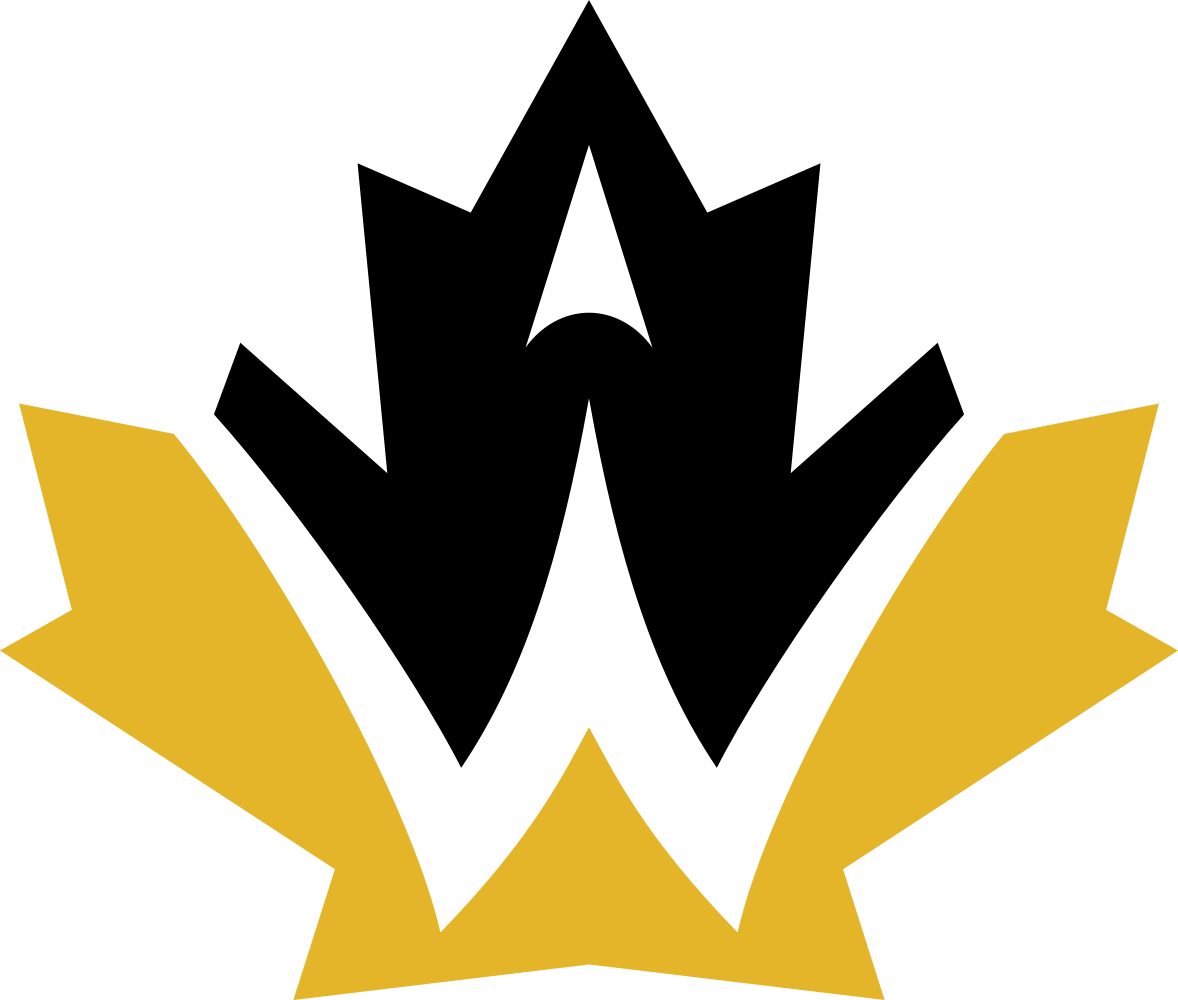 Controls Lead, Senior Member